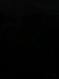 Die wolfslose Luna des Alphakönigs - Episode 41