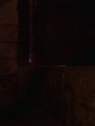 Die wolfslose Luna des Alphakönigs - Episode 23