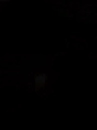 Episode 25 - Die wolfslose Luna des Alphakönigs