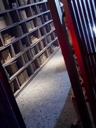 第17話 - 愛は舞い散る花のように