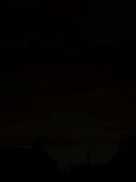 Die wolfslose Luna des Alphakönigs - Episode 19