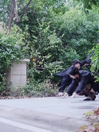 Episode 31 - Takdirku Yang Berubah