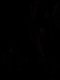 Episode 30 - Die wolfslose Luna des Alphakönigs