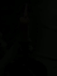 Episode 39 - Die wolfslose Luna des Alphakönigs