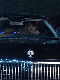 From Dust to Diamond - Episode 29