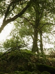 La compagna indesiderata - Episode 68