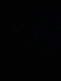 Épisode 54 - La Luna louve du Roi Alpha