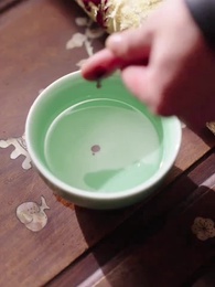 My Contracted Genius Wife - Episode 67