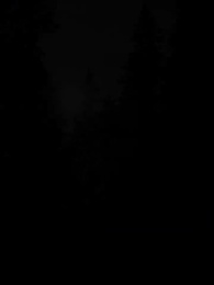 La Luna louve du Roi Alpha - Episode 2