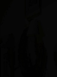 La Luna louve du Roi Alpha - Episode 45