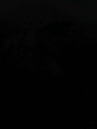 La Luna louve du Roi Alpha - Episode 41