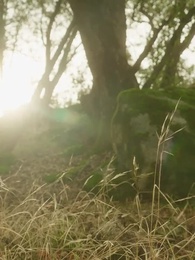 La compagna indesiderata - Episode 45