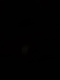 Épisode 25 - La Luna louve du Roi Alpha