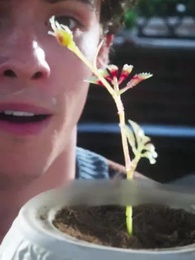 La compagna indesiderata - Episode 43