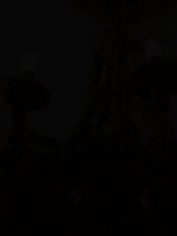 La Luna louve du Roi Alpha - Episode 44