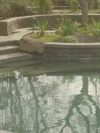 Episodio 38 - La compagna indesiderata