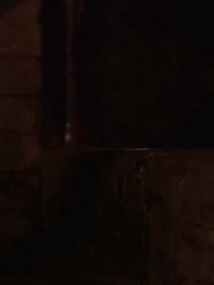 Épisode 23 - La Luna louve du Roi Alpha