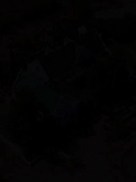 La Luna louve du Roi Alpha - Episode 80