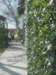 La compagna indesiderata - Episode 15