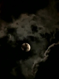 出所後 娘のために暴走した - Episode 1