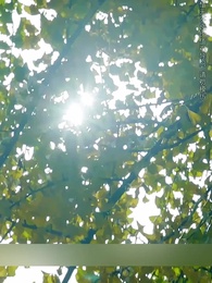 Episode 49 - Lost at First Sight