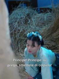Episodio 24 - La Principessa medico