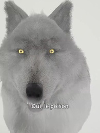 L'Éclat de la Lune et des Ombres - Episode 57