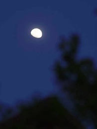 Casando Com o Tio do Meu Ex - Episode 25