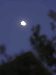 Casando Com o Tio do Meu Ex - Episode 69