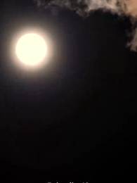 Desideri proibiti Amore Alphas - Episode 48