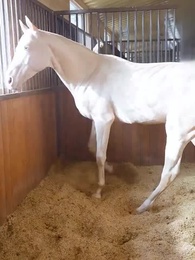 Slay it, Mrs. Billionaire - Episode 23