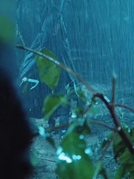 Episode 2 - Otoritas Tertinggi