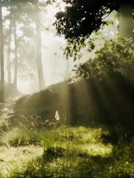 第32話 - 闇に咲く貴女