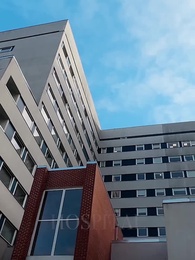 Pregnant as a Virgin - Episode 11