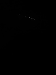 ตอนที่ 2 - เด็กน้อยสู้กลับ