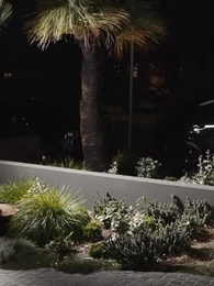 Épisode 45 - [Doublé] Divorce pour devenir l'héritière suprême