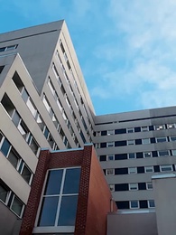 Pregnant as a Virgin - Episode 74