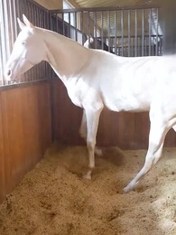 家長グループを制覇する奥さん - Episode 23