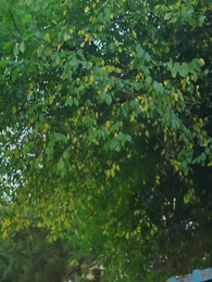 41화 - 대표님의 아이가 생겼다