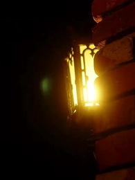 Voler mon Alpha froid - Episode 5