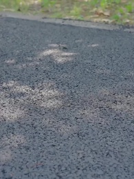 58화 - 대표님의 아이가 생겼다