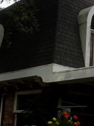 Voler mon Alpha froid - Episode 35