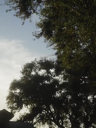 Voler mon Alpha froid - Episode 8