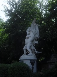 Épisode 57 - Voler mon Alpha froid