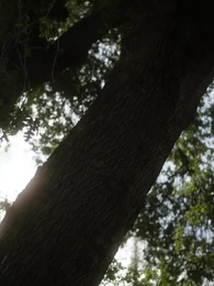 Épisode 58 - Voler mon Alpha froid