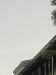 Épisode 40 - Voler mon Alpha froid