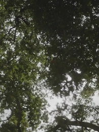 Voler mon Alpha froid - Episode 69