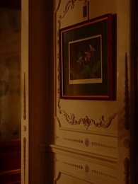 Épisode 31 - Voler mon Alpha froid