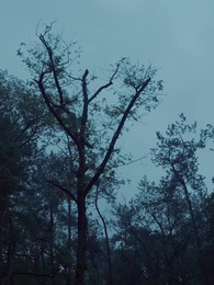 39화 - 뚱보의 복수