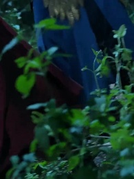 Lahirnya Negeri Terkuat - Episode 59